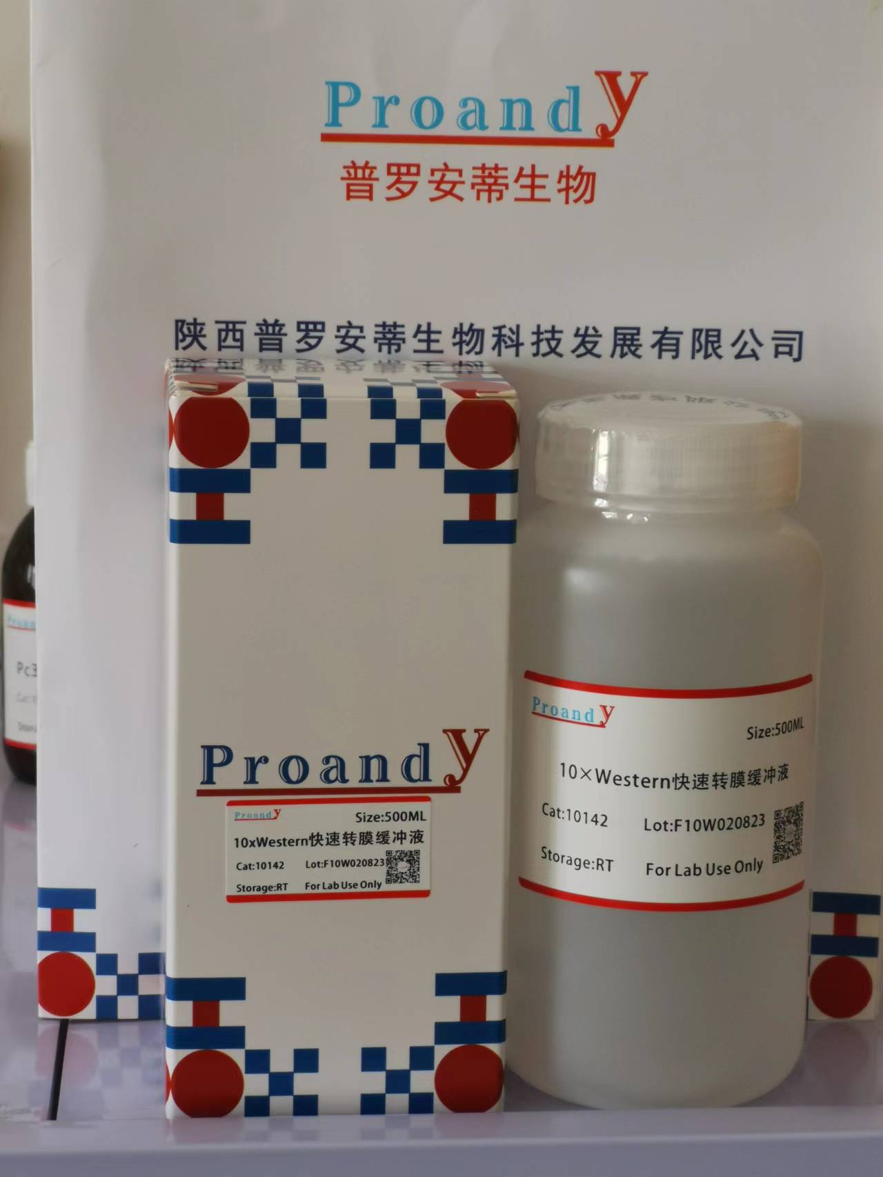 1691051790147838.jpg 10x快速轉(zhuǎn)膜液.jpg