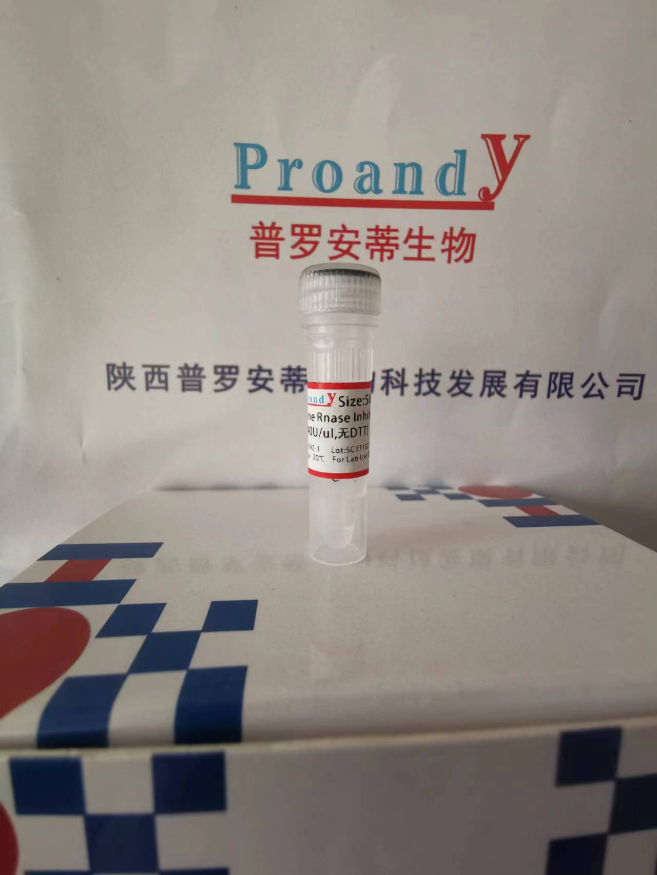 鼠源RNAase抑制劑（無(wú)DTT）.jpg