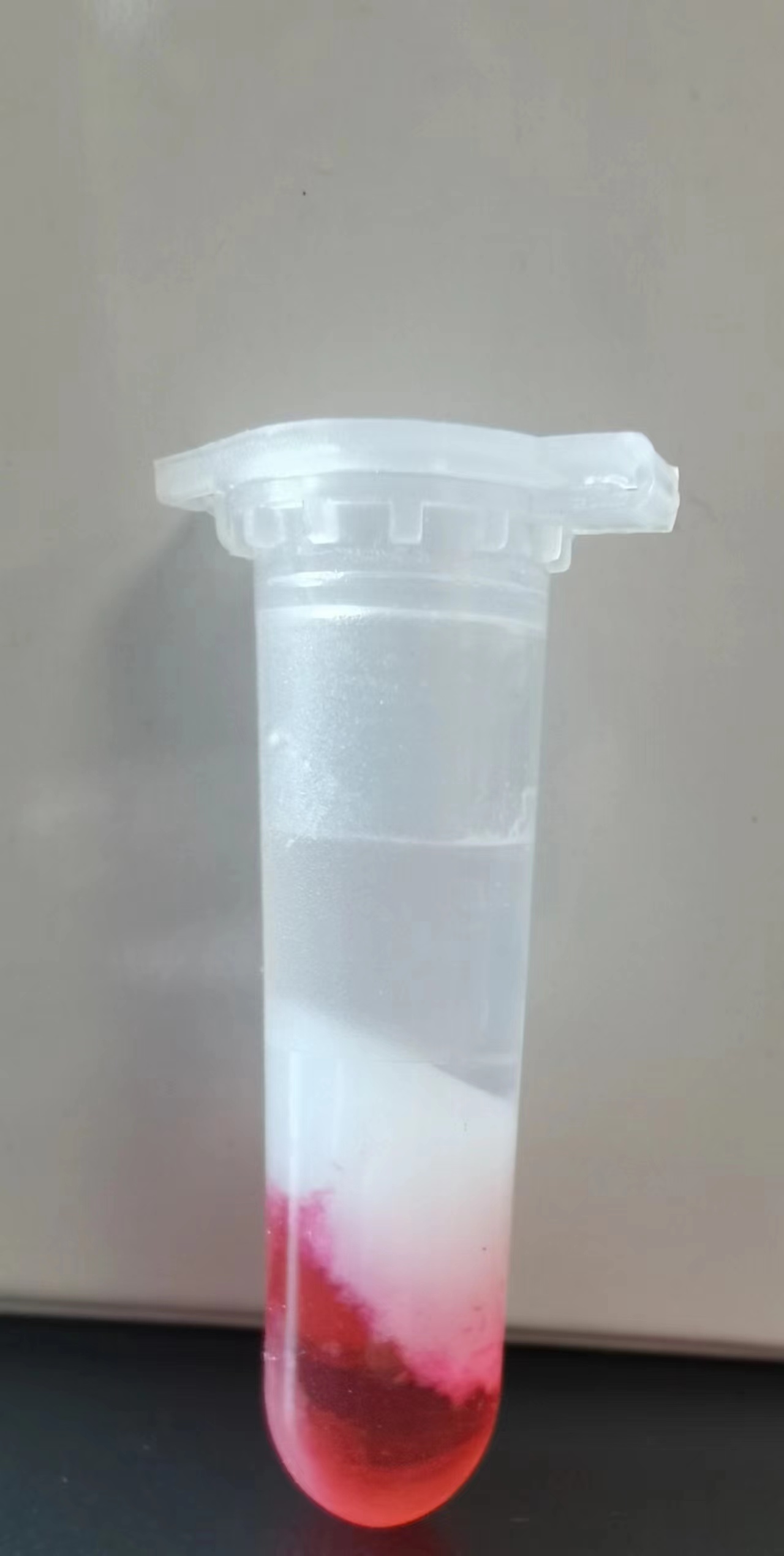 1699512048102822.jpg 鎖相膠.jpg