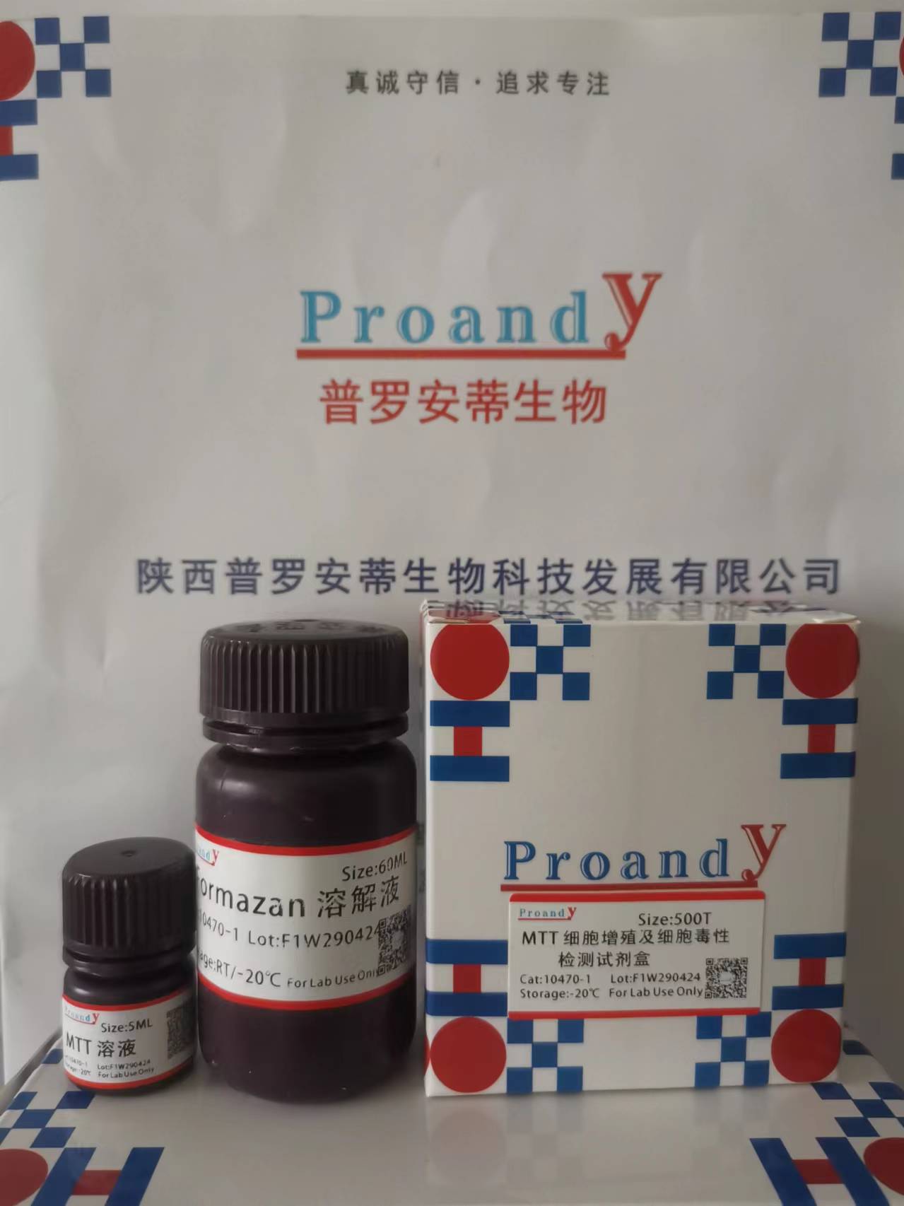 MTT 細(xì)胞增殖及細(xì)胞毒性檢測試劑盒.jpg