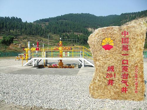 參與完成中國(guó)第一口頁(yè)巖氣井的試用開發(fā)